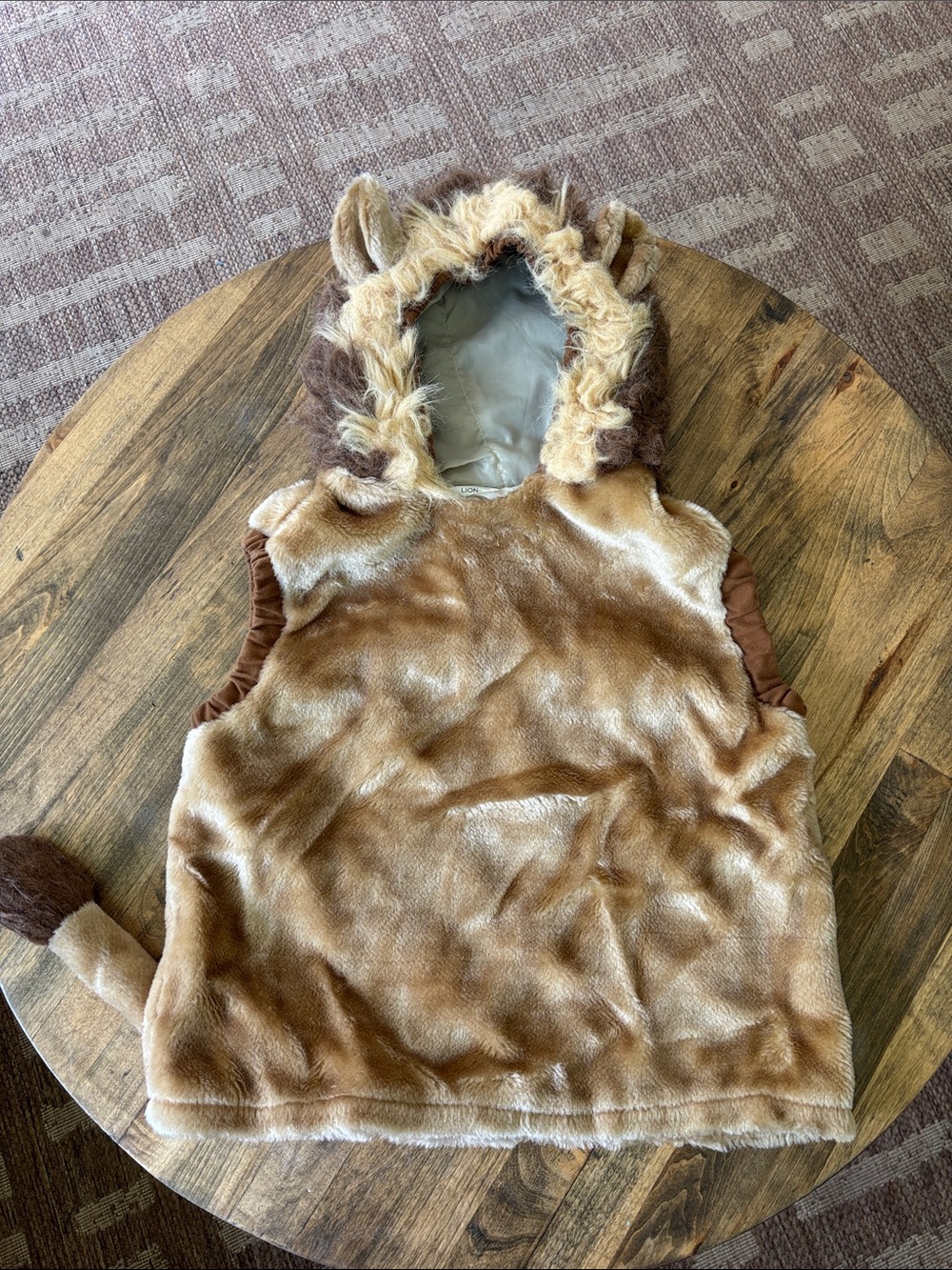 Child Size Large Lion Costume